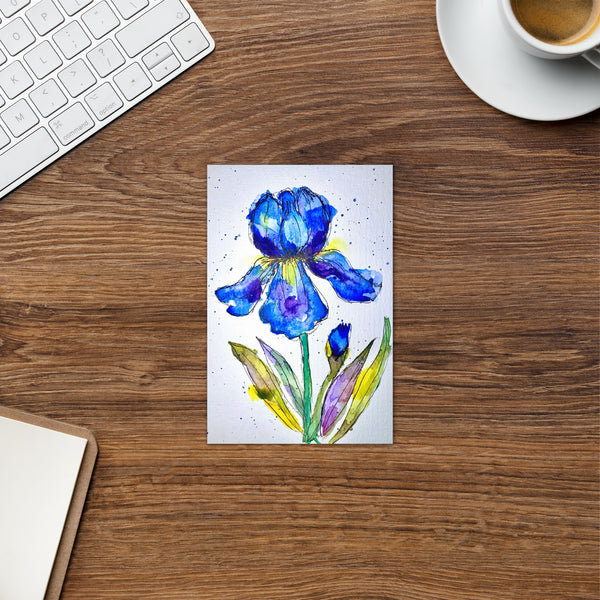 "Indigo Iris II" - Congratulations Card