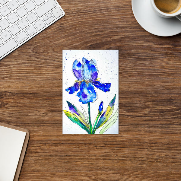 "Indigo Iris IV" - Congratulations Card